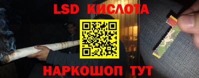 амф Кингисепп