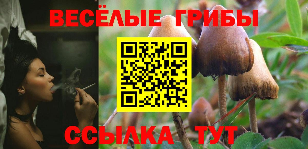 Галлюциногенные грибы Cubensis  Вход с VPN  Псилоцибиновые грибы MAGIC MUSHROOMS  Красный Сулин 